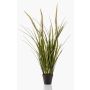 Artificial foxtail grass ANOUR with panicles, green-brown, 3ft/90 cm