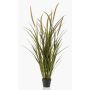 Artificial foxtail grass ANOUR with panicles, green-brown, 4ft/130 cm