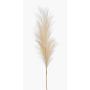 Artificial pampas grass panicle AMATSIA, cream, 4ft/115 cm
