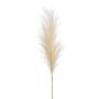 Artificial pampas grass panicle AMATSIA, cream, 4ft/115 cm