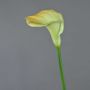 Calla lily silk flower DAISCHI, yellow-green, 28"/70 cm