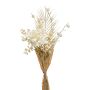 Decorative peony bouquet AYMA with balloon plant, cream, 24"/60 cm