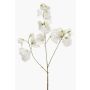 Artificial sweet pea KANZI, cream, 30"/75 cm