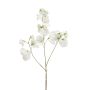 Artificial sweet pea KANZI, cream, 30"/75 cm
