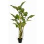 Artificial elephant ear KOKKO with lianas, green, 6ft/195 cm