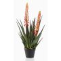 Aloe vera artificial plant SUSUMI with flowers, decorative pot, orange-green, 31"/80cm