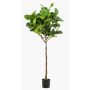 Artificial Ficus Lyrata ABIULA, real trunk, green, 6ft/195 cm