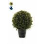 Artificial boxwood TOM in a planter, crossdoor, 17"/42 cm, Ø 12"/30 cm