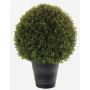 Artificial boxwood TOM in a planter, crossdoor, 27"/68 cm, Ø 20"/50 cm