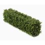 Artificial boxwood hedge TOM, metal frame, crossdoor, 3ftx8"x10"/100x20x25cm