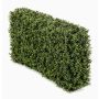 Artificial boxwood hedge TOM, metal frame, crossdoor, 3ftx8"x20"/100x20x50cm
