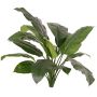 Artificial Spathiphyllum 'PLAKIAS', flame-retardant, with support stick, green, 35"/90cm