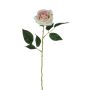 Silk rose SEENSA, cream-pink, 22"/55cm, Ø 2.8"/7cm