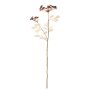 Artificial wild carrot ODINIO, burgundy, 30"/75cm