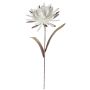 Artificial cactus flower queen of the night MOADI, white-antique pink, 35"/90cm, Ø14"/35cm