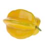 Plastic star fruit BALKOE, yellow, 4"/10cm
