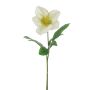 Artificial Christmas rose GARONA, white-green, 12"/30cm