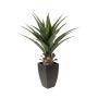 Plastic agave IZAMAL in decorative pot, green, 28"/70cm