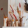 Animal joy with autumn vases