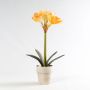 Artificial amaryllis NIXIE in clay pot, yellow-orange, 20"/50cm