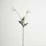 Artificial poppy branch GUNDULA, Eco Collection, white-purple, 28"/70cm, Ø2.8"-3.1"/7-8cm
