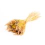 Dried ear bouquet COVENTINA, yellow-natural, 26"/65cm, Ø9"/23cm