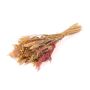 Dried bouquet DILIANE, pink-natural, 20"/50cm, Ø6"/15cm