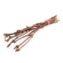 Bunch of grapevine twigs RAGGA, 10 pieces, natural, 24"/60cm