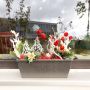 Winter mood – Balcony box