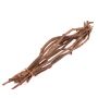 Vine twigs bunch ROSHAN, dried, 10 pieces, natural, 26"/65cm