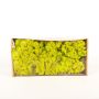 Real iceland moss SVEINBJÖRN, light green, 500g