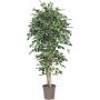 Artificial Ficus Benjamina LEVANTA, natural stems, green-white, 4ft/125cm - Made in Italy