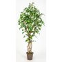 Artificial silver birch HINDRIKA, natural stems, green, 5ft/150cm - Made in Italy
