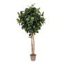 Artificial rubber tree LENELOTTE, natural stems, green, 6ft/170cm - Made in Italy