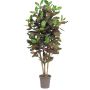 Decorative croton JULISSA, real stem, multicoloured, 6ft/175cm - Made in Italy