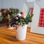 Fragrance Winter Blush - Christmas Fragrance Decoration