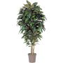 Decorative magnolia MARZELLINE, natural stems, green, 6ft/175cm - Made in Italy