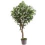 Artificial Japanese maple MYKYTA, natural stems, green-red, 6ft/175cm - Made in Italy