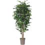 Artificial Ficus Benjamina LEVANTA, natural stems, green, 4ft/125cm - Made in Italy
