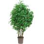 Artificial weeping fig SORAVIA, natural stems, green, 6ft/175cm - Made in Italy