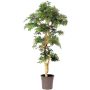 Decorative Japanese maple tree DANIIL, real stem, green-red, 6ft/185cm - Made in Italy