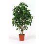 Artificial schefflera NANETTE, real stems, green, 5ft/150cm - Made in Italy