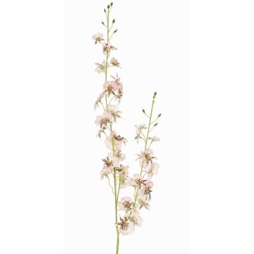 Artificial oncidium orchid branch TALIAH, white-pink, 33"/85cm, Ø1.2"-1.6"/3-4cm Artificial oncidium orchid branch TALIAH, white-pink, 33"/85cm, Ø1.2"-1.6"/3-4cm