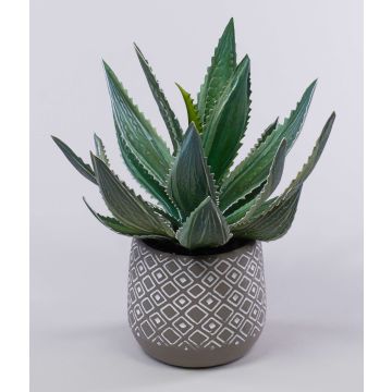 Decorative agave americana HEDI in terracotta pot, green, 14"/35cm
