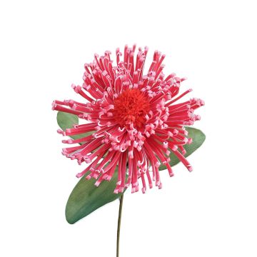 Plastic foam pincushion protea ISLARTINA, red-fuchsia, 30"/75cm Plastic foam pincushion protea ISLARTINA, red-fuchsia, 30"/75cm