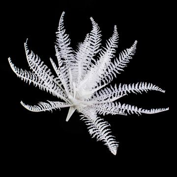 Plastic Royal fern VIANO, on spike, white, 20"/50cm, Ø 22"/55cm Plastic Royal fern VIANO, on spike, white, 20"/50cm, Ø 22"/55cm