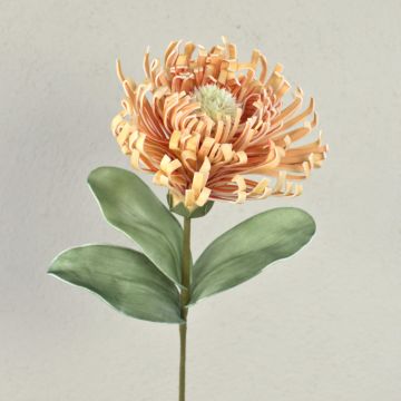 Plastic foam pincushion protea ISLARTINA, cream-apricot, 30"/75cm Plastic foam pincushion protea ISLARTINA, cream-apricot, 30"/75cm