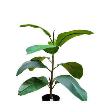 Decorative rubber tree FRODELINDE, artificial trunk, green, 24"/60cm Decorative rubber tree FRODELINDE, artificial trunk, green, 24"/60cm