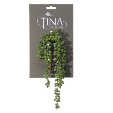 Artificial succulent Senecio NELLAS, spike, green, 14"/35cm Artificial succulent Senecio NELLAS, spike, green, 14"/35cm