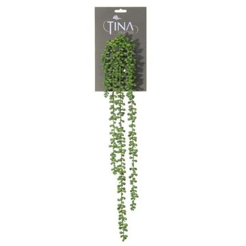 Artificial succulent Senecio NELLAS, spike, green, 28"/70cm Artificial succulent Senecio NELLAS, spike, green, 28"/70cm